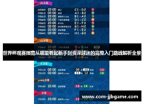 世界杯观赛指南从哪里看起新手到资深球迷的完整入门路线解析全景